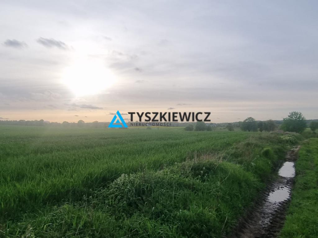 Duża rola w Mierzeszynie - zdjęcie 1
