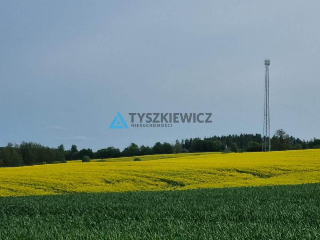 Duża rola w Mierzeszynie - zdjęcie 2