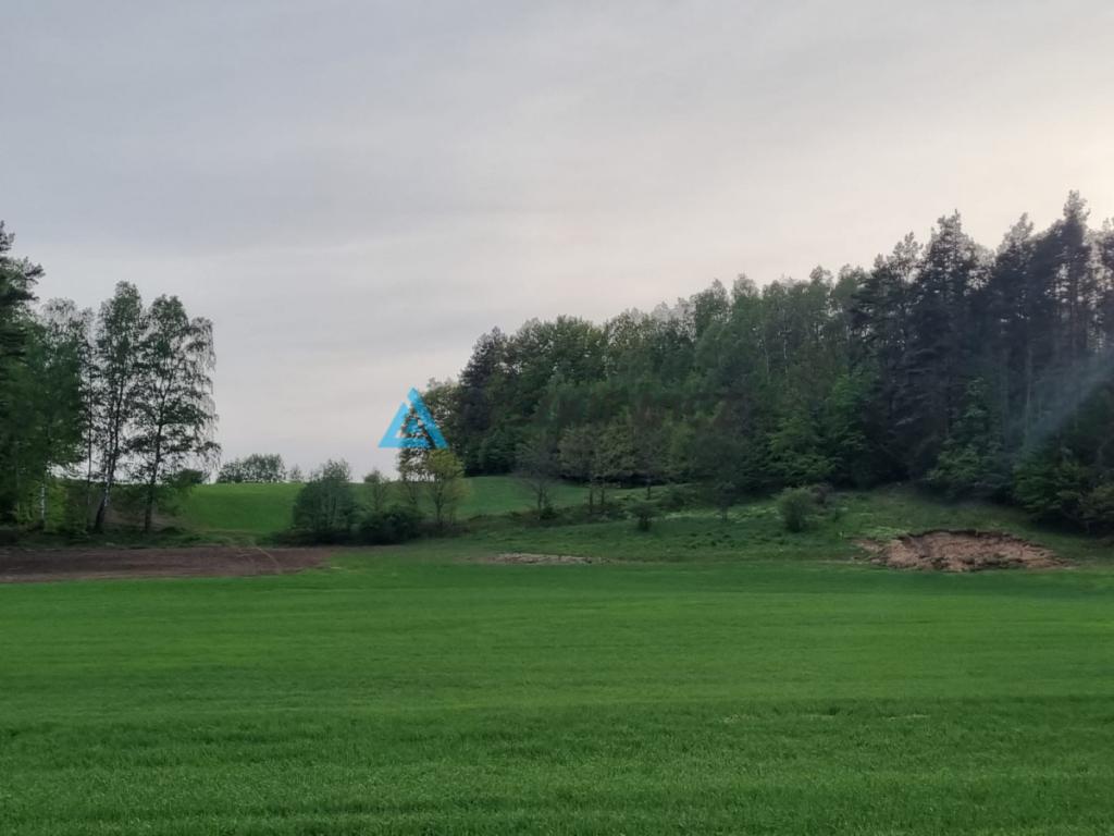 Twoja kaszubska rola - zdjęcie 3