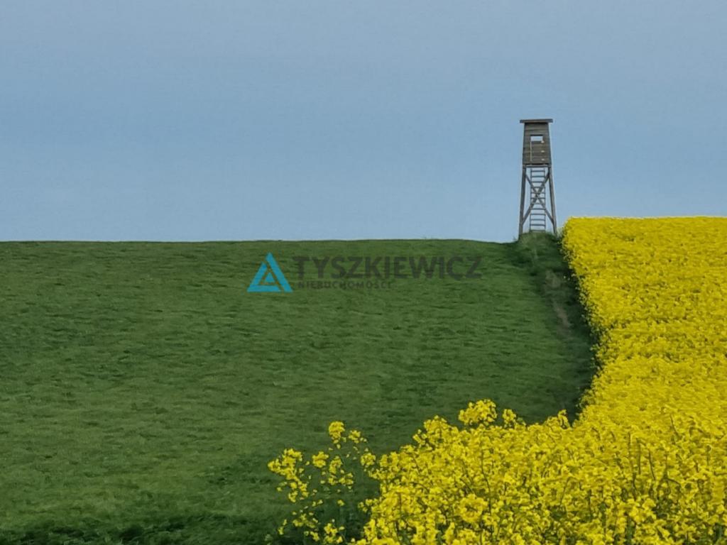 Malownicza rola na kaszubskiej wsi - zdjęcie 2