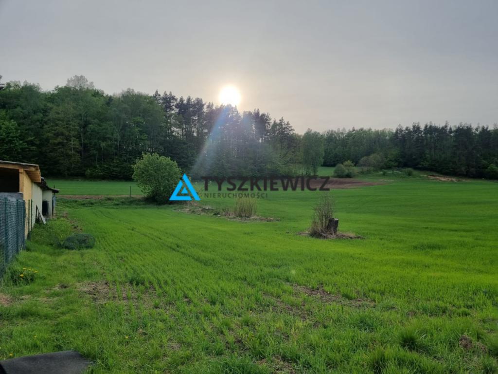 Malownicza rola na kaszubskiej wsi - zdjęcie 1