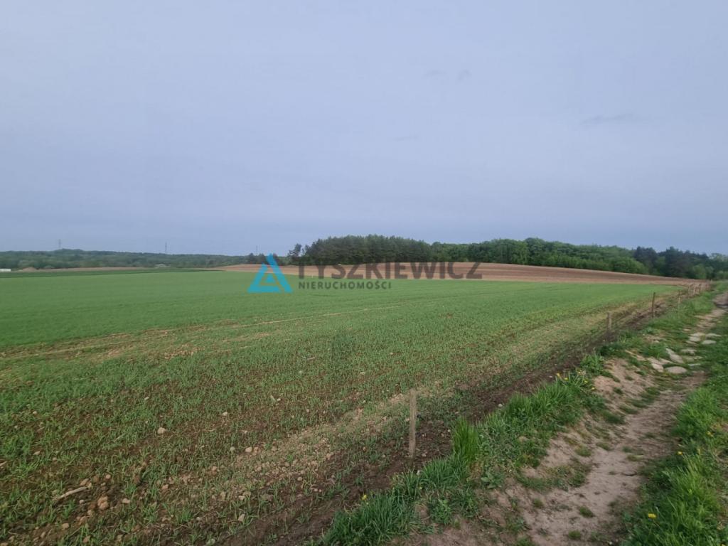 Malownicza rola na kaszubskiej wsi - zdjęcie 9