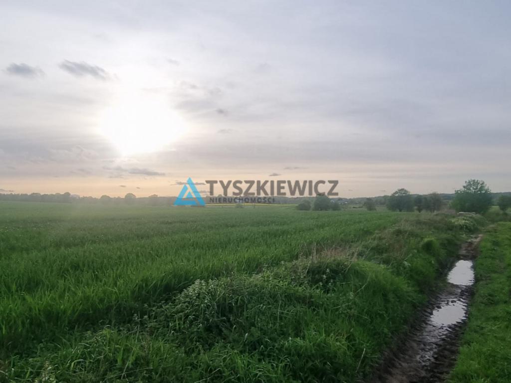 Malownicza rola na kaszubskiej wsi - zdjęcie 7