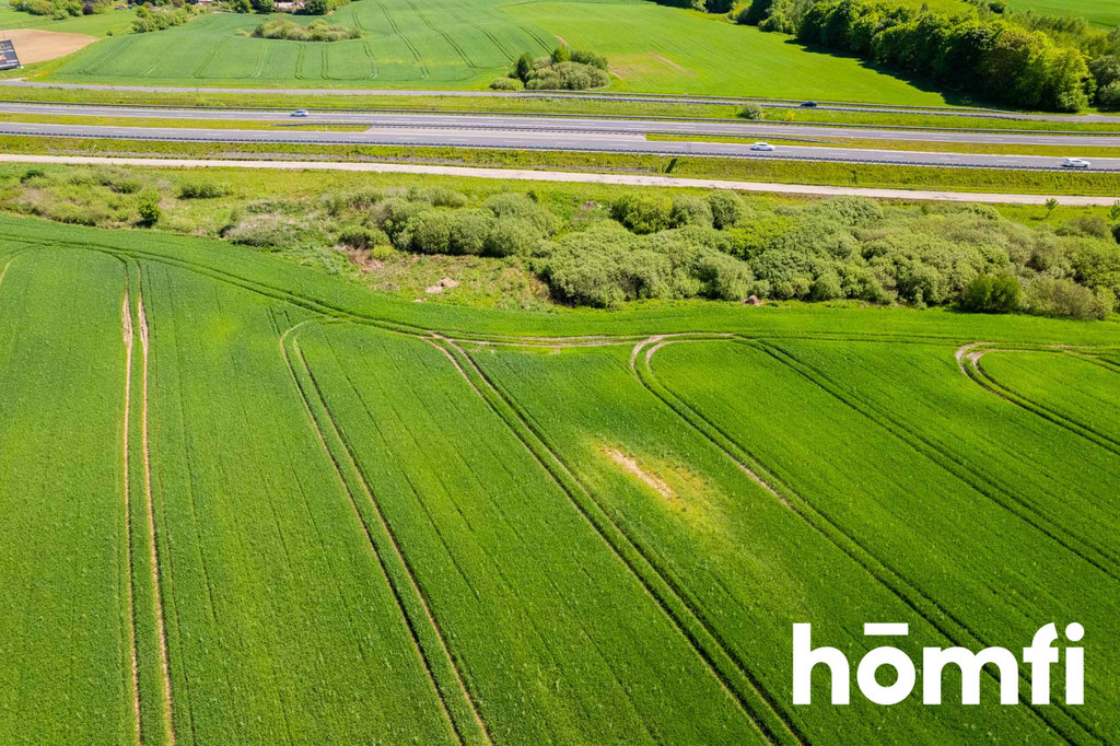 Działka budowlana 5,89&nbsp;ha, Królikowo - zdjęcie 10