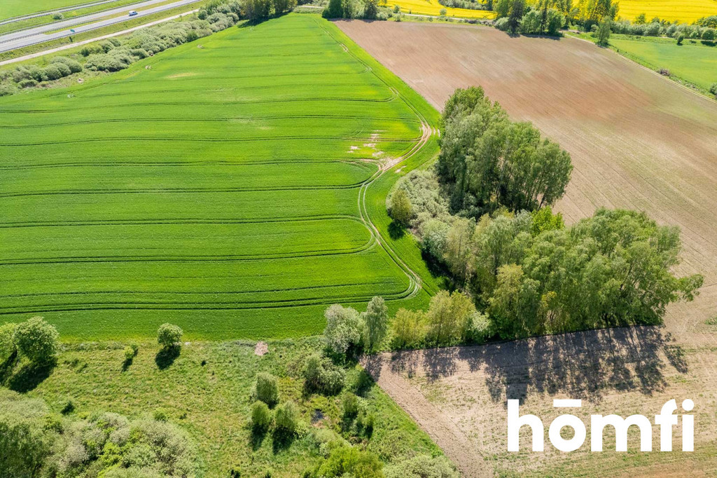 Działka budowlana 5,89&nbsp;ha, Królikowo - zdjęcie 7