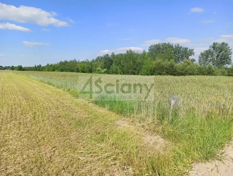 Działka budowlana 923&nbsp;m², Jachranka - zdjęcie 1
