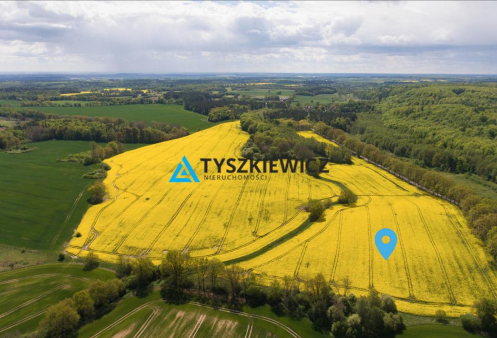 Działka siedliskowa w miejscowości Warcz - zdjęcie 1