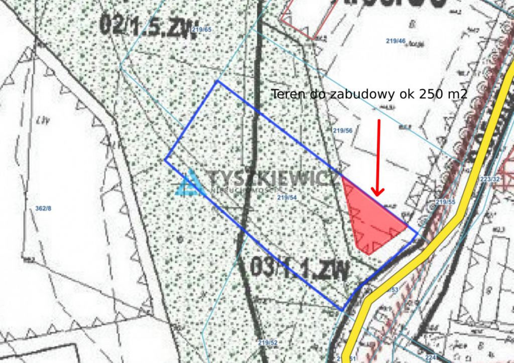 Działka usługowa w miejscowości Domachowo - zdjęcie 2