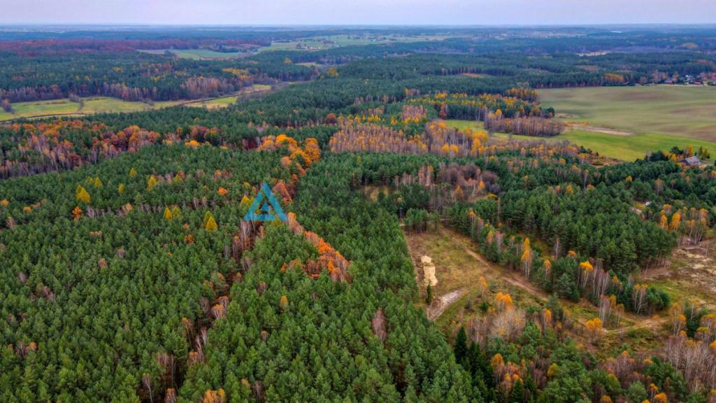Oaza ciszy i spokoju - działka w pięknej okolicy - zdjęcie 7