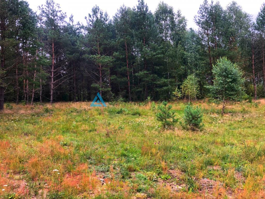 Oaza ciszy i spokoju - działka w pięknej okolicy - zdjęcie 4
