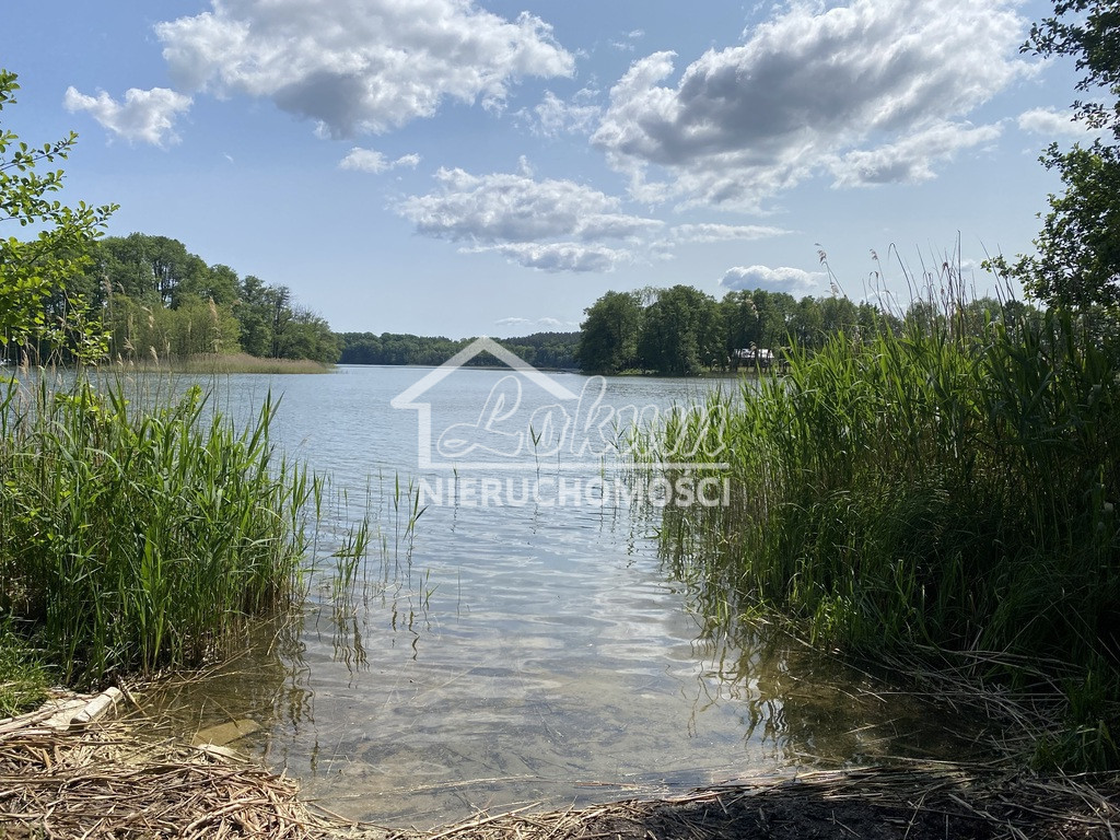 Działka budowlana 3004 m², Przybiernów - zdjęcie 5
