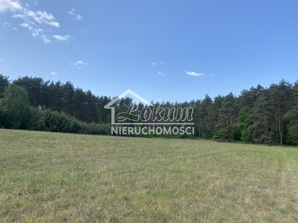 Działka budowlana 3004 m², Przybiernów - zdjęcie 3