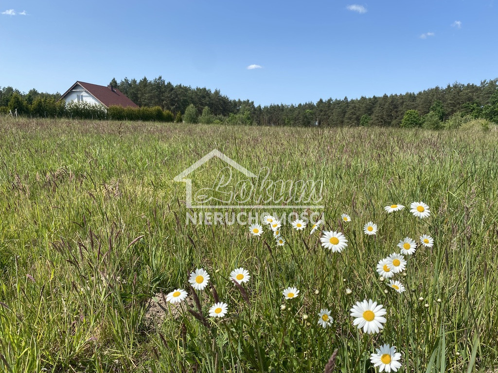 Działka budowlana 3004 m², Przybiernów - zdjęcie 2