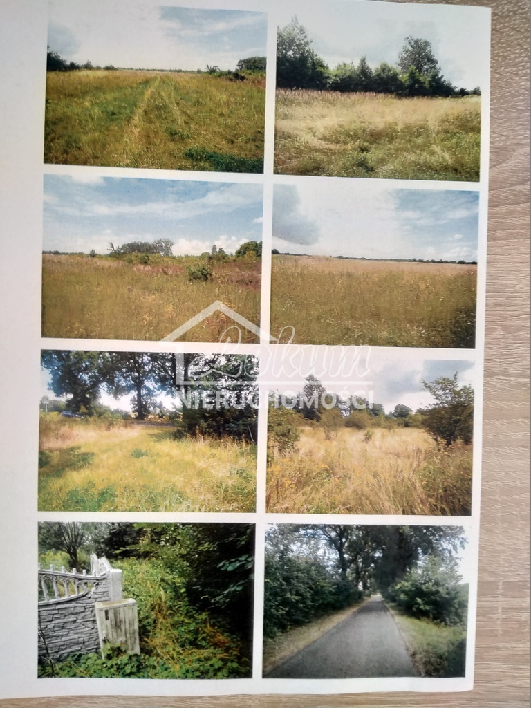 Działka budowlana 3670&nbsp;m², Giżyn - zdjęcie 5