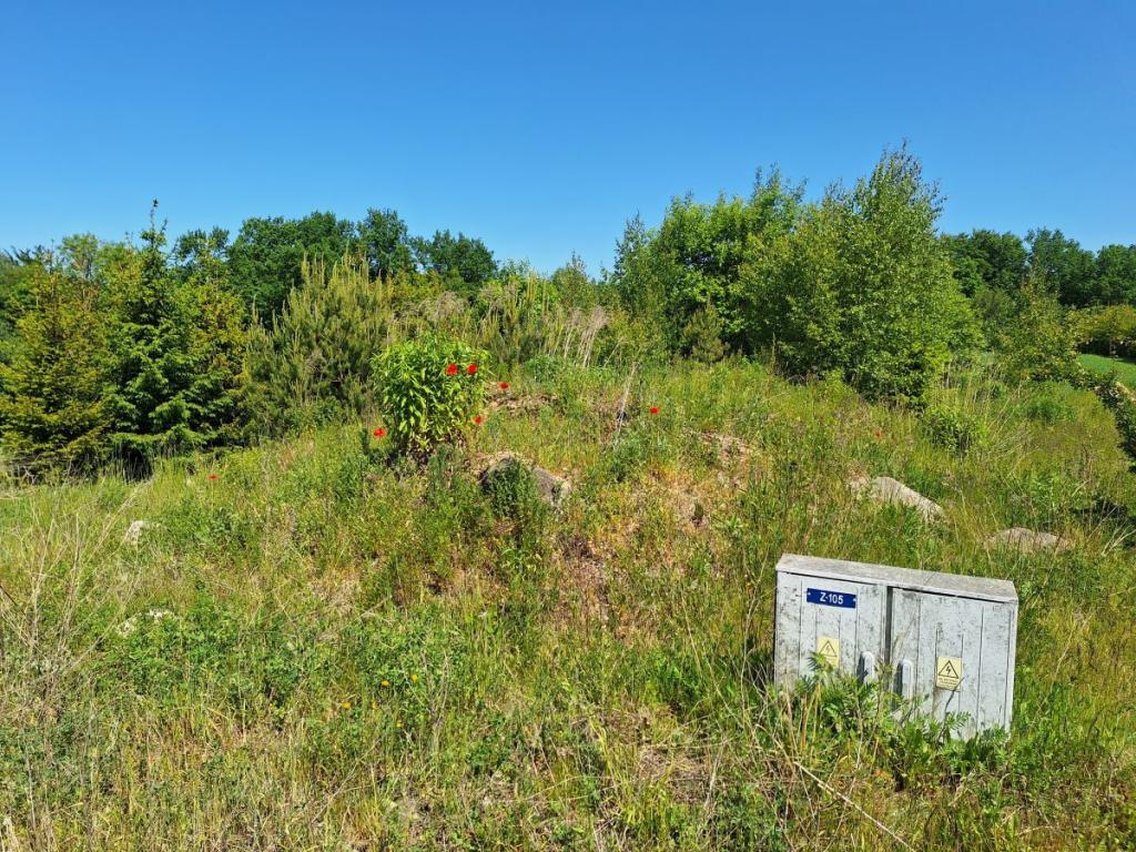 Działka budowlana w zaciszu Małkowa - zdjęcie 10