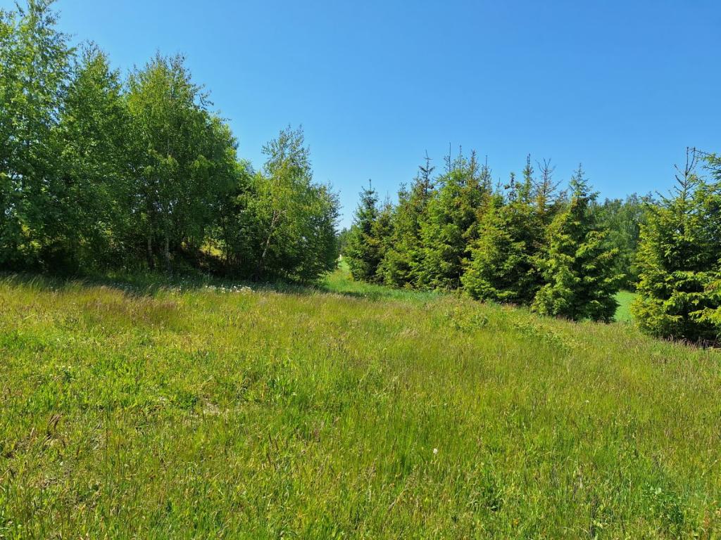 Działka budowlana w zaciszu Małkowa - zdjęcie 3