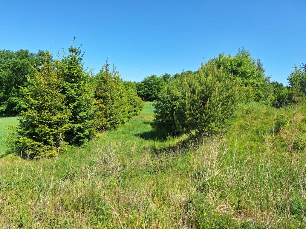 Działka budowlana w zaciszu Małkowa - zdjęcie 1