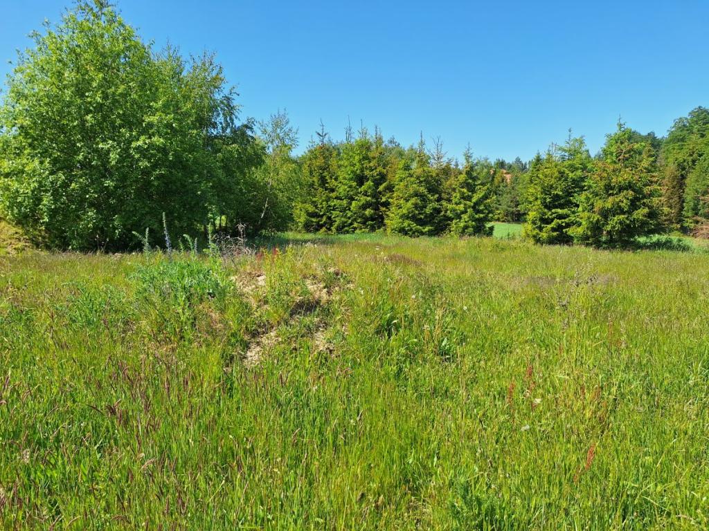 Działka budowlana w zaciszu Małkowa - zdjęcie 5