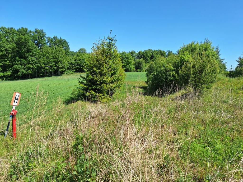 Działka budowlana w zaciszu Małkowa - zdjęcie 9