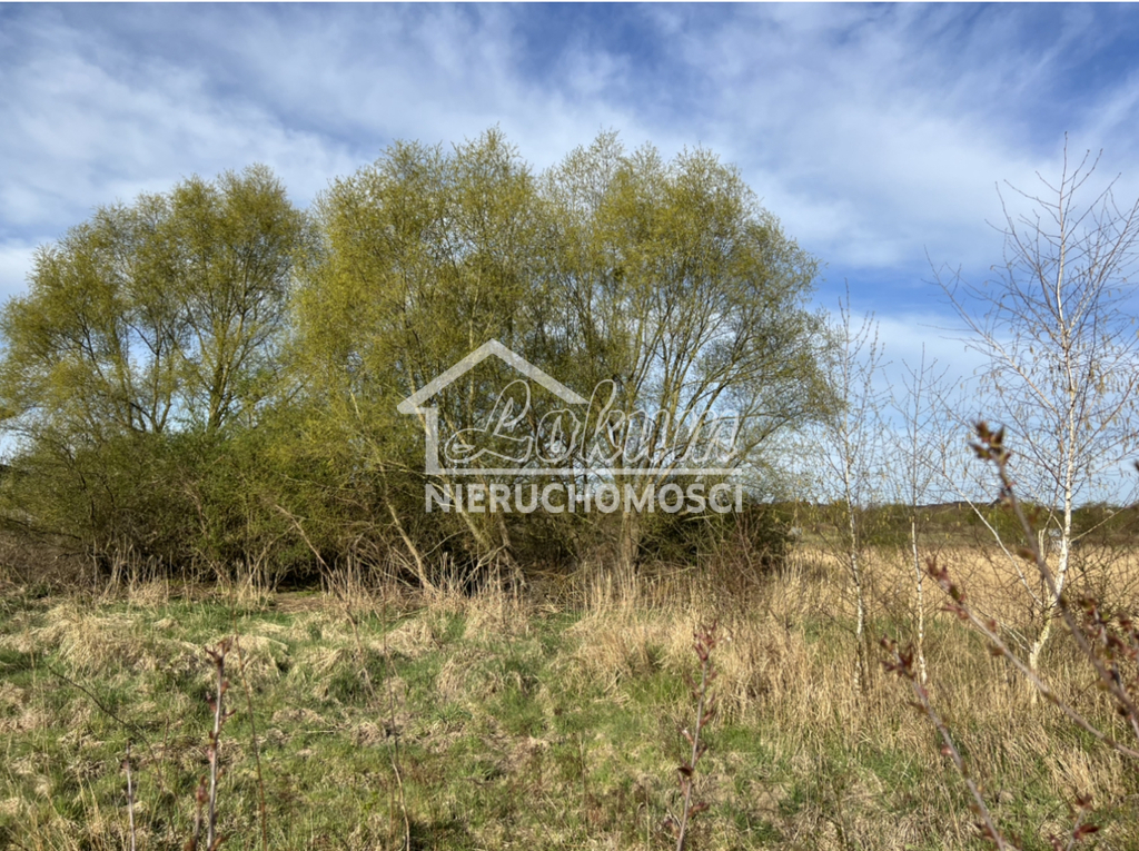 Działka budowlana 1099&nbsp;m², Mierzyn - zdjęcie 3