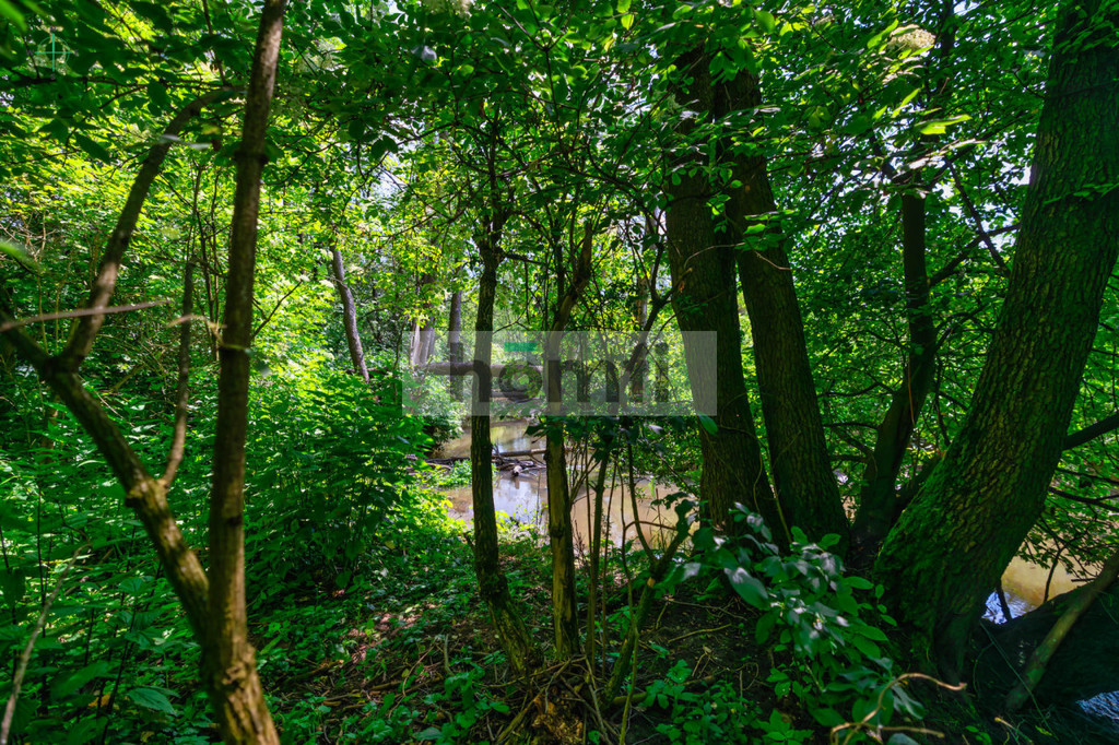 Działka rolna 3300 m², Jakubowice Konińskie-Kolonia, Nowowiejska - zdjęcie 13