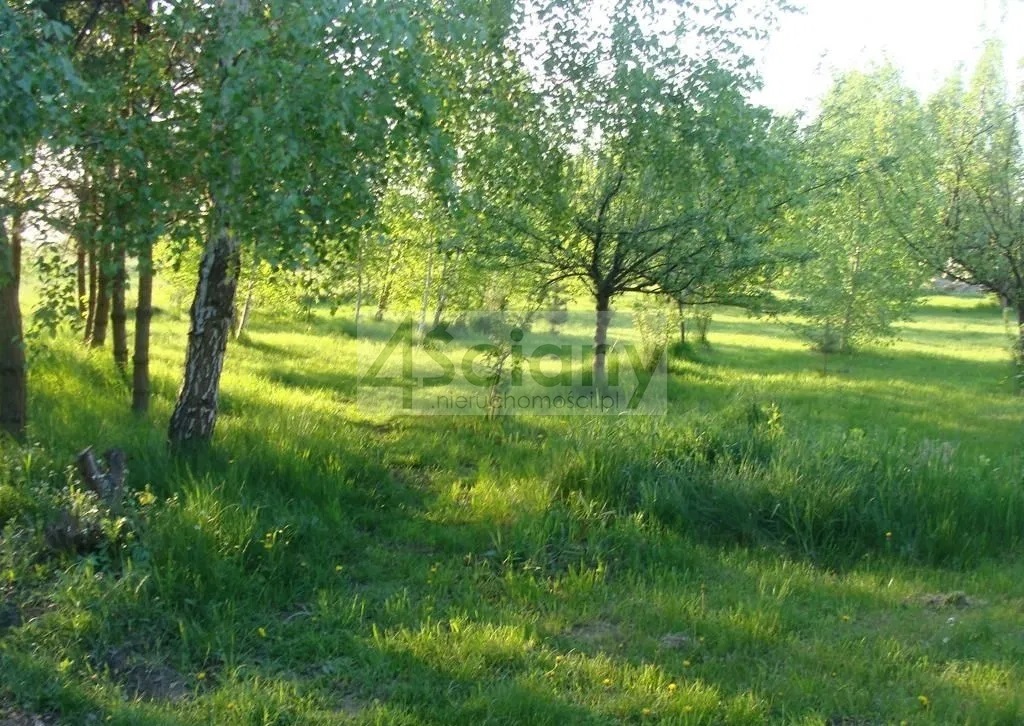Działka budowlana 3023&nbsp;m², Grodzisk Mazowiecki - zdjęcie 1