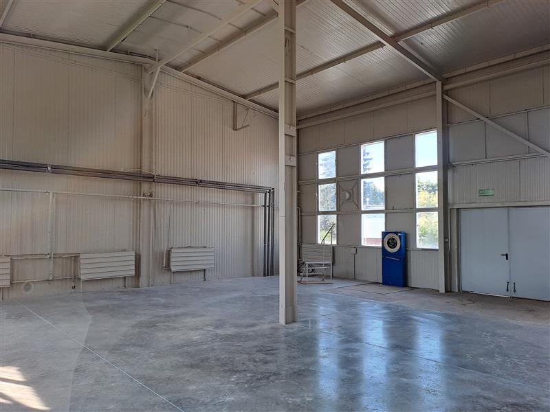 Magazyn do wynajęcia, 446&nbsp;m², Pruszcz Gdański, Zastawna - zdjęcie 5
