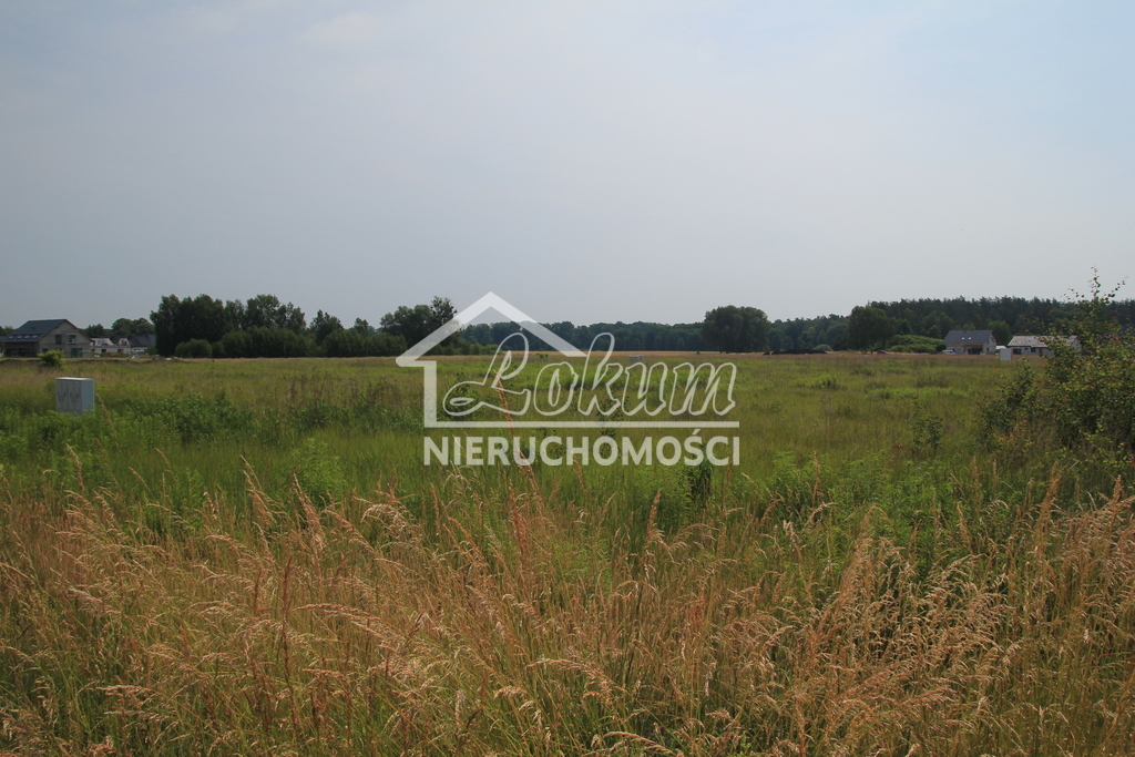 Działka budowlana 1000&nbsp;m², Podańsko - zdjęcie 8