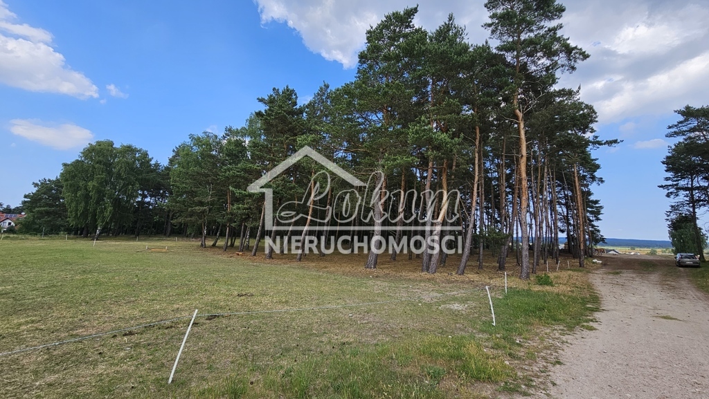 Działka budowlana 3121&nbsp;m², Dobra - zdjęcie 2