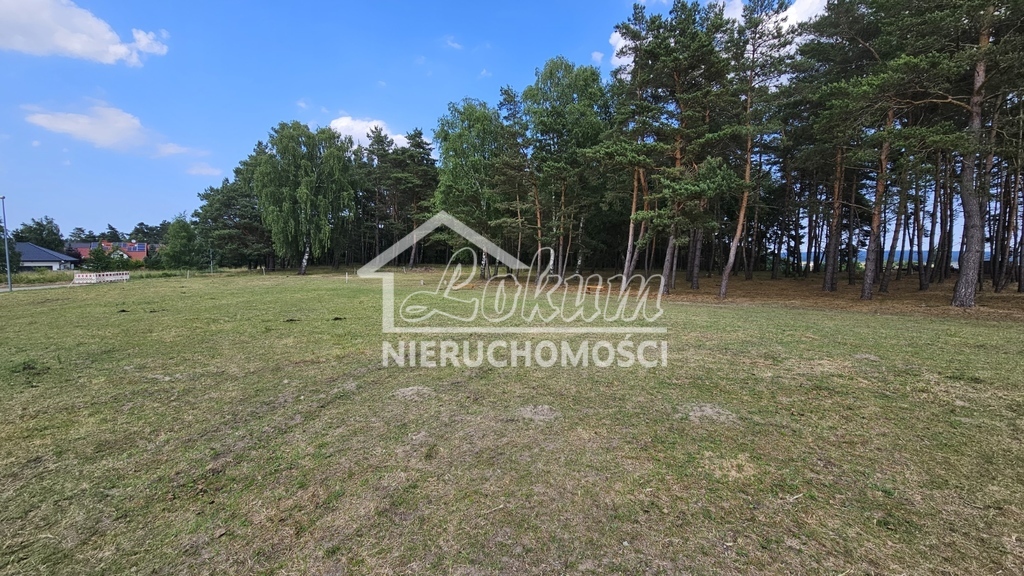 Działka budowlana 3121&nbsp;m², Dobra - zdjęcie 4