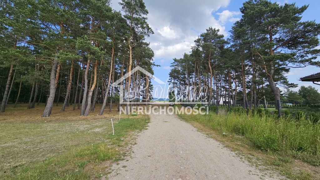 Działka budowlana 3121&nbsp;m², Dobra - zdjęcie 5