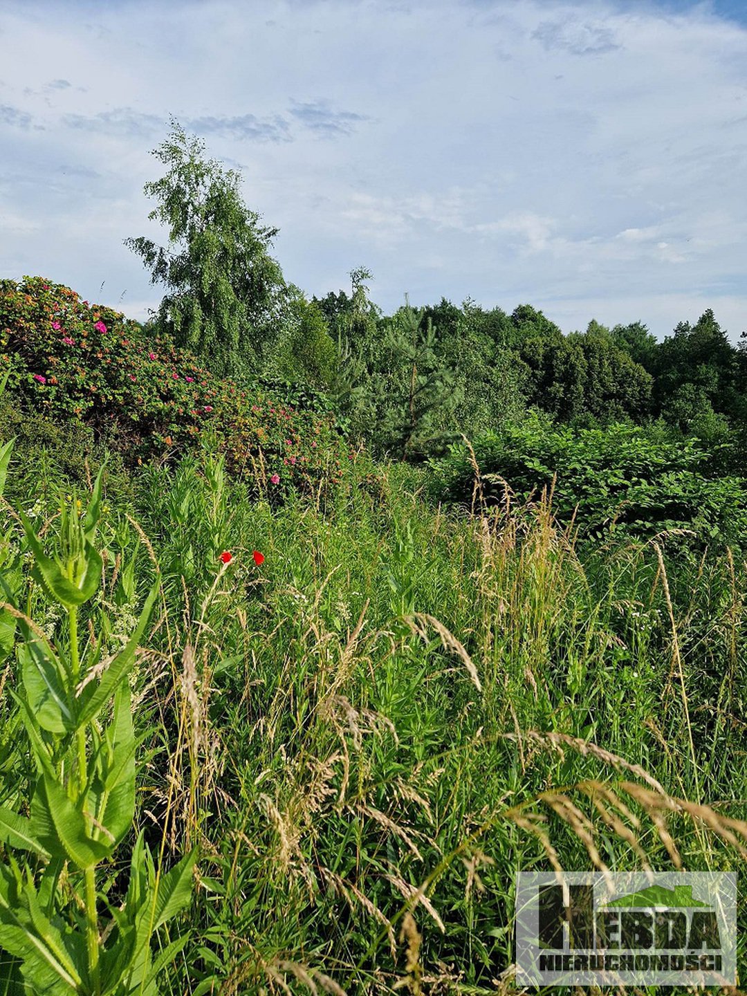 Tarnów - Zawada , parterowy domek na 30 arowej działce z widokami na Tarnów ! - zdjęcie 9