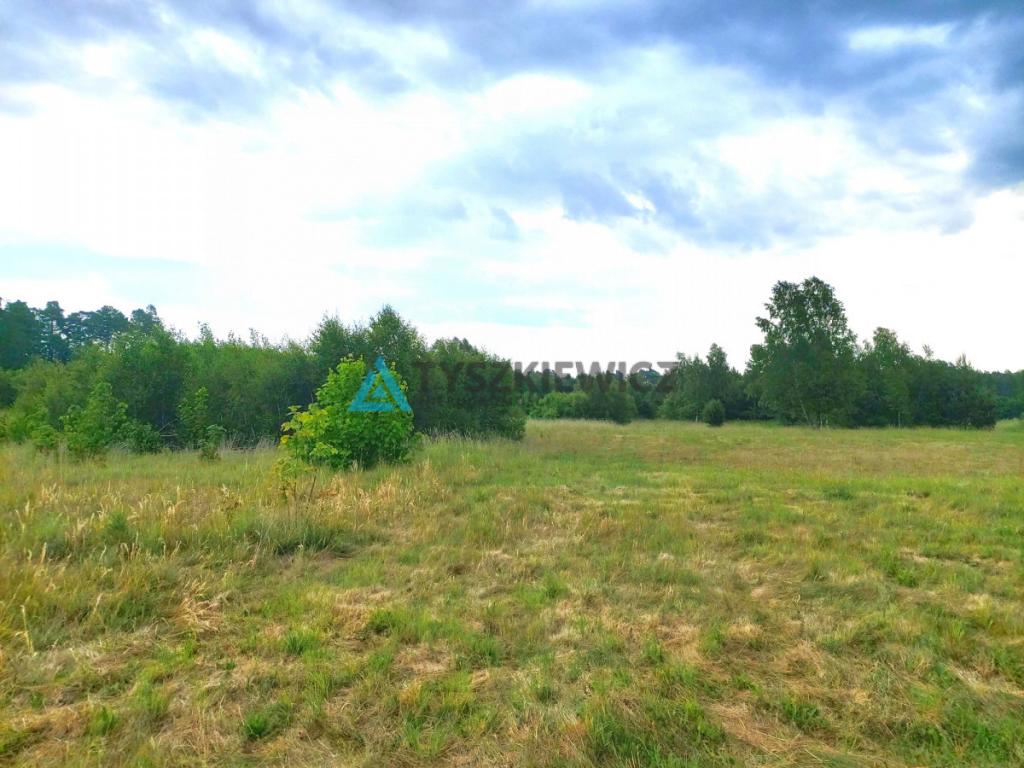 Działka w pobliżu Białogóry - zdjęcie 2