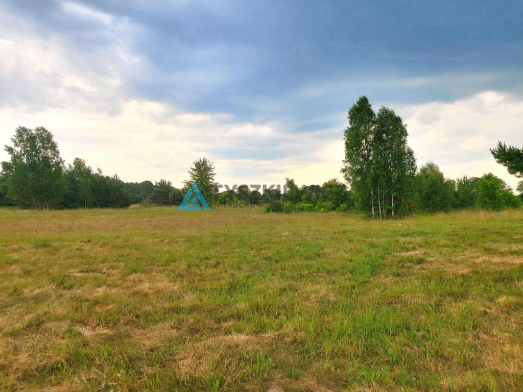 Działka w pobliżu Białogóry - zdjęcie 3
