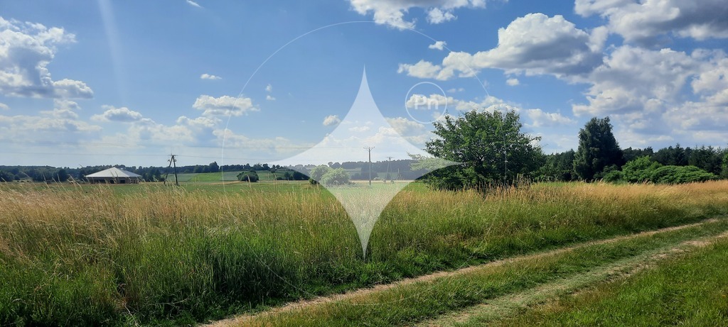 Działka rolna 7985&nbsp;m², Dobrzyniewo Kościelne - zdjęcie 8