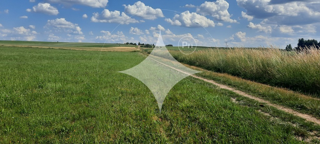 Działka rolna 7985&nbsp;m², Dobrzyniewo Kościelne - zdjęcie 3