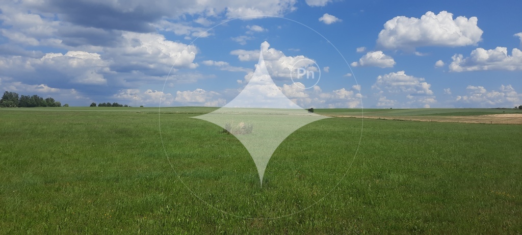 Działka rolna 7985&nbsp;m², Dobrzyniewo Kościelne - zdjęcie 5