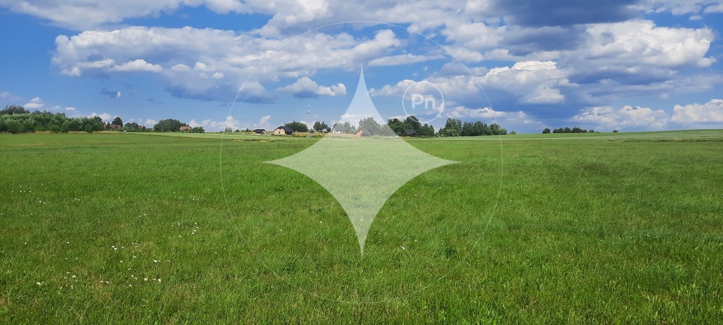Działka rolna 7985&nbsp;m², Dobrzyniewo Kościelne - zdjęcie 4