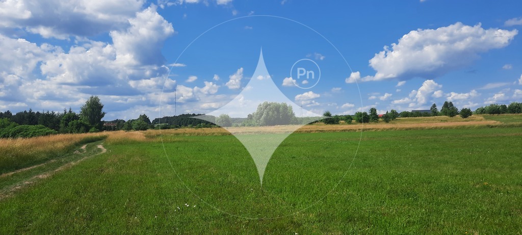 Działka rolna 7985&nbsp;m², Dobrzyniewo Kościelne - zdjęcie 7