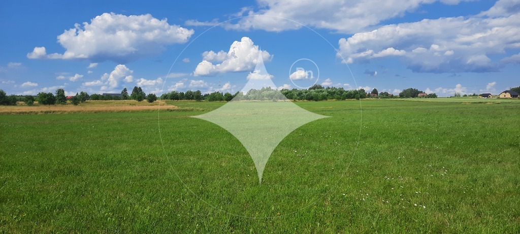 Działka rolna 7985&nbsp;m², Dobrzyniewo Kościelne - zdjęcie 6