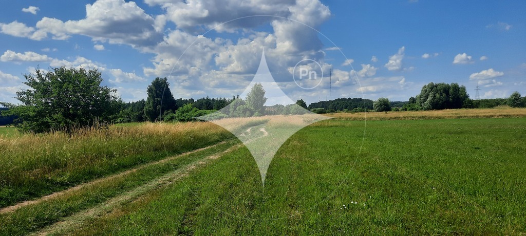 Działka rolna 7985&nbsp;m², Dobrzyniewo Kościelne - zdjęcie 1