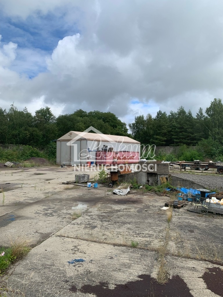 Wynajmę działkę 3000&nbsp;m², Goleniów - zdjęcie 2