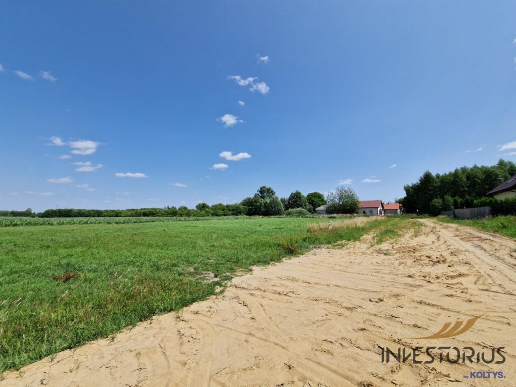 Działki budowlane / Skarżyn/Płońsk/45 min Warszawa - zdjęcie 7