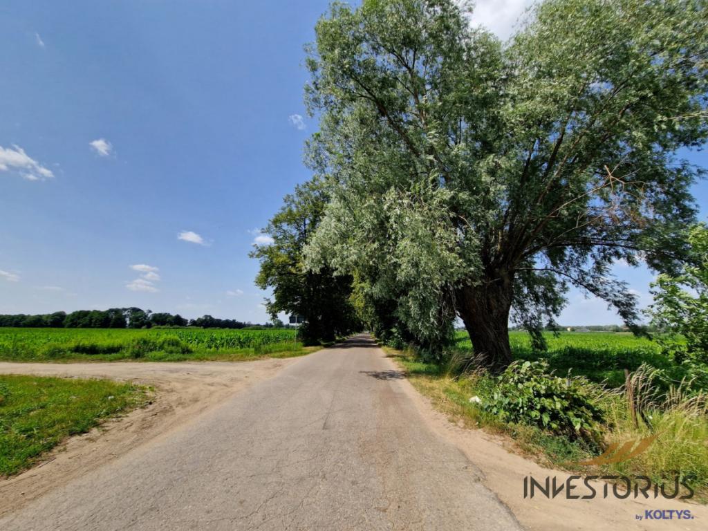 Działki budowlane / Skarżyn/Płońsk/45 min Warszawa - zdjęcie 6
