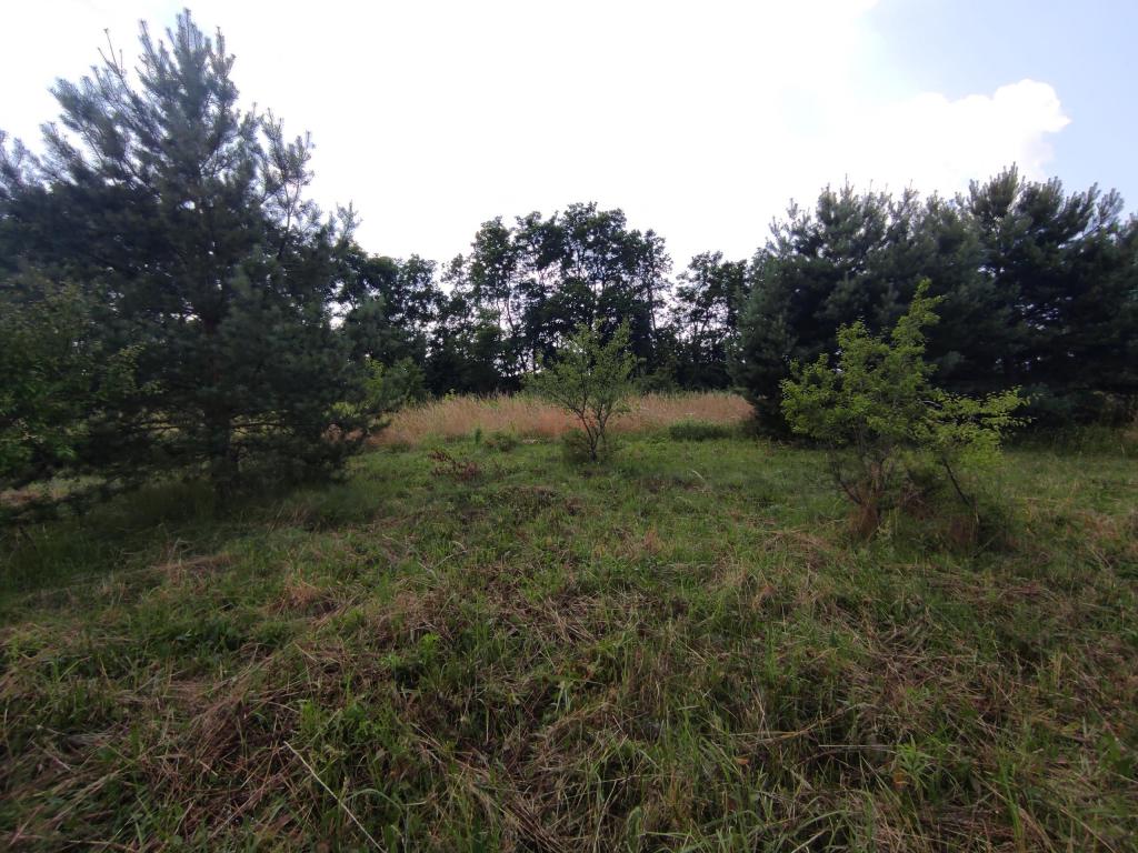 Działka budowlana 906&nbsp;m², Zawonia, Wiosenna - zdjęcie 2
