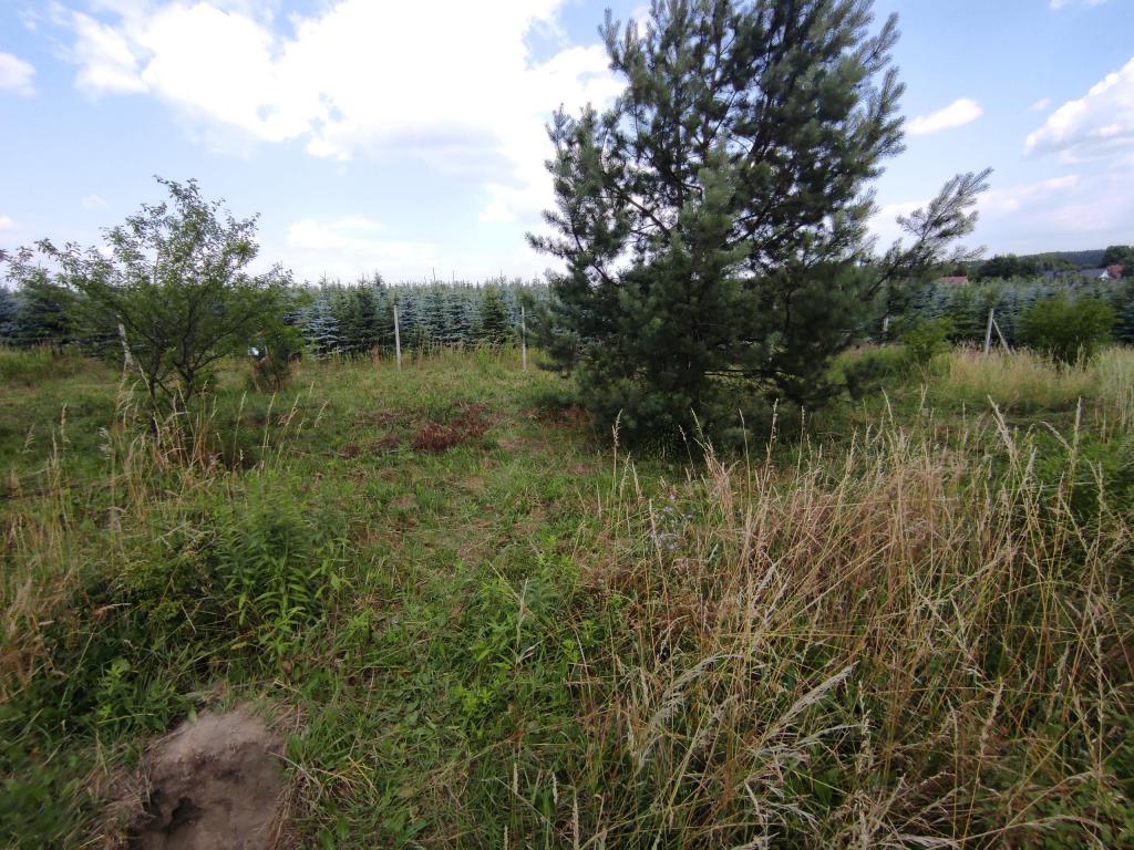 Działka budowlana 906&nbsp;m², Zawonia, Wiosenna - zdjęcie 3