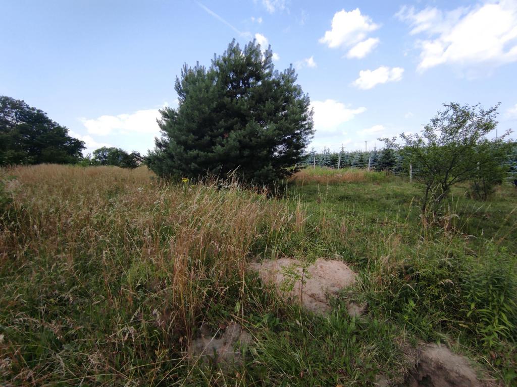 Działka budowlana 906&nbsp;m², Zawonia, Wiosenna - zdjęcie 1