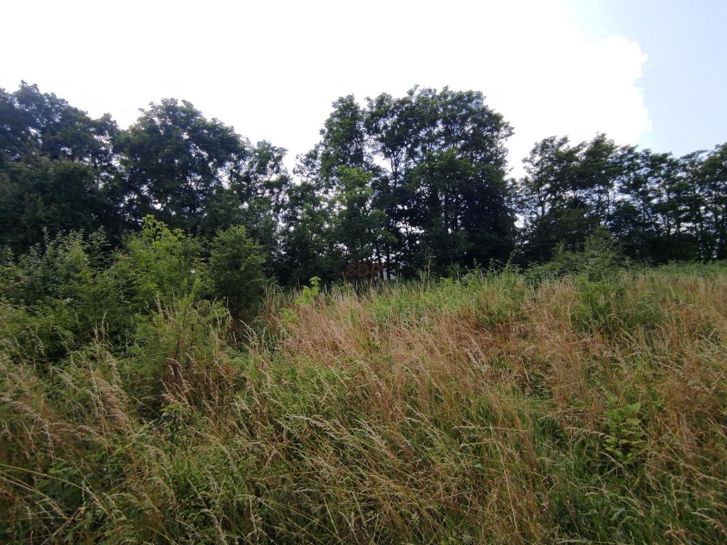Działka budowlana 906&nbsp;m², Zawonia, Wiosenna - zdjęcie 4
