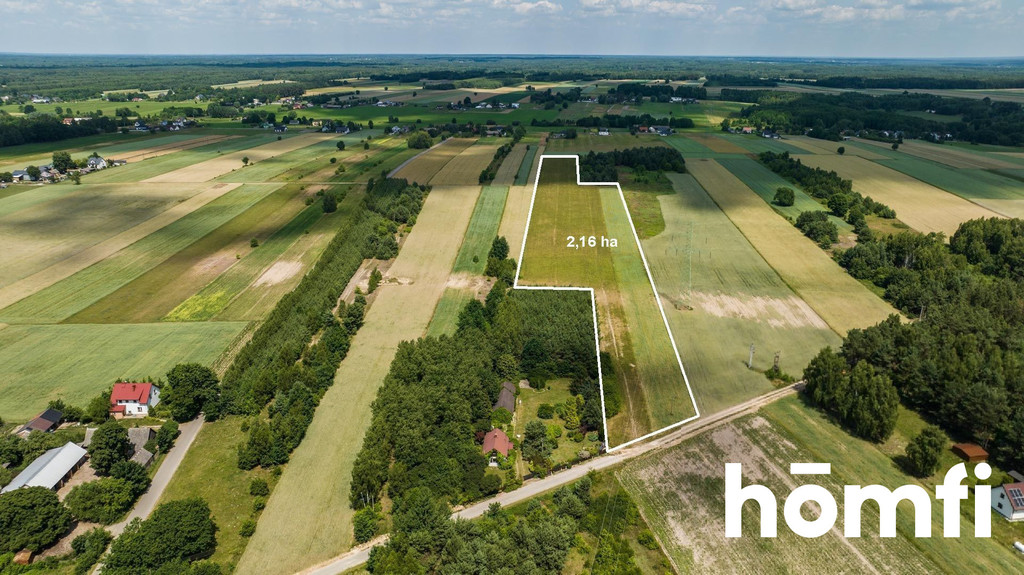 Działka budowlana 2,16 ha, Wola Goryńska - zdjęcie 1