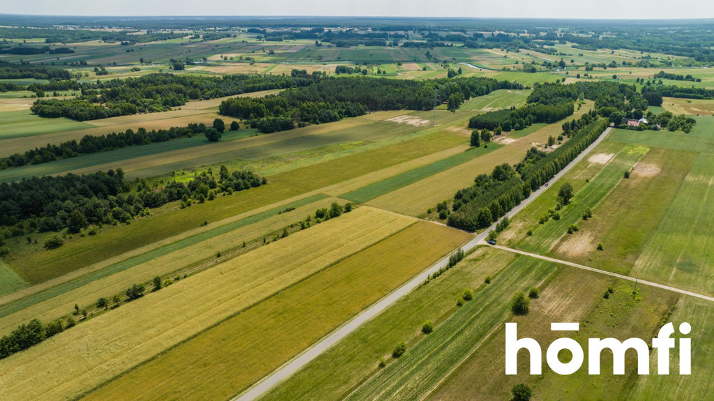 Działka budowlana 2,16 ha, Wola Goryńska - zdjęcie 6